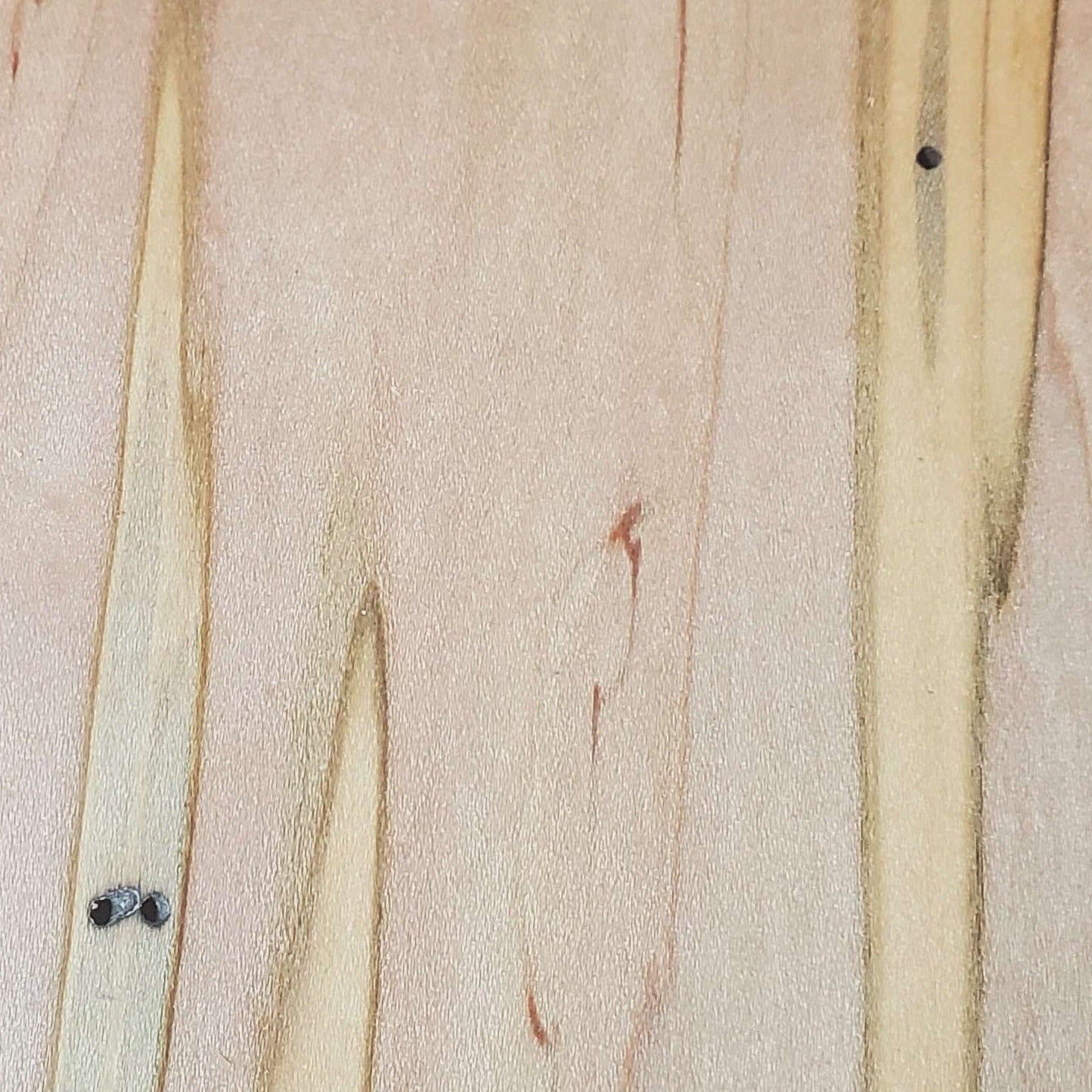 close-up of ambrosia maple wood
