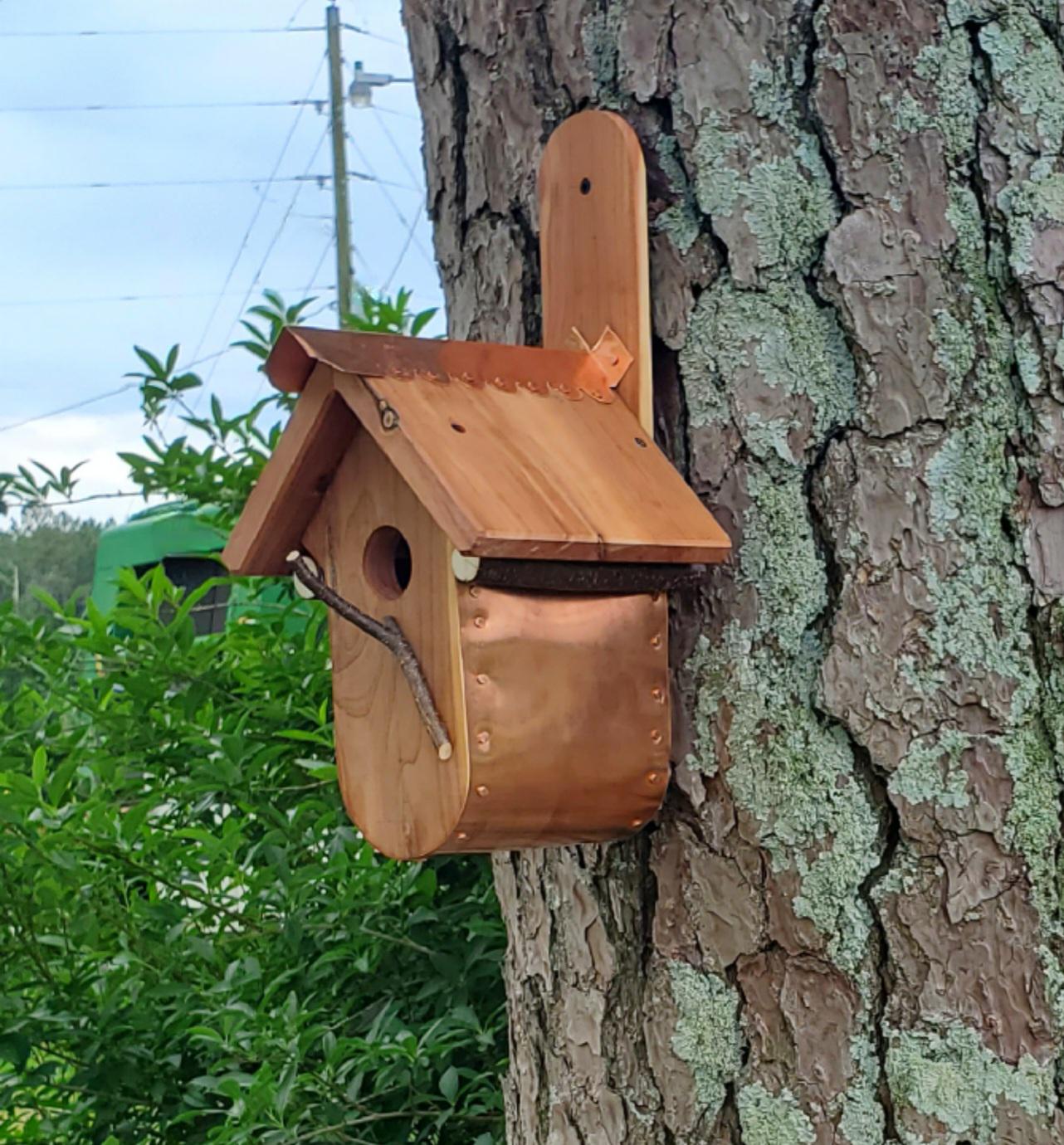 Handcrafted birdhouse attached to a tree, surrounded by lush green foliage. The birdhouse features a curved copper bottom that adds both visual interest and durability. Its roof is made of warm-toned cedar, with a copper ridge cap running along the peak for added detail and weather protection. The combination of natural wood and polished copper creates a striking contrast, blending rustic charm with refined craftsmanship in a serene outdoor setting.